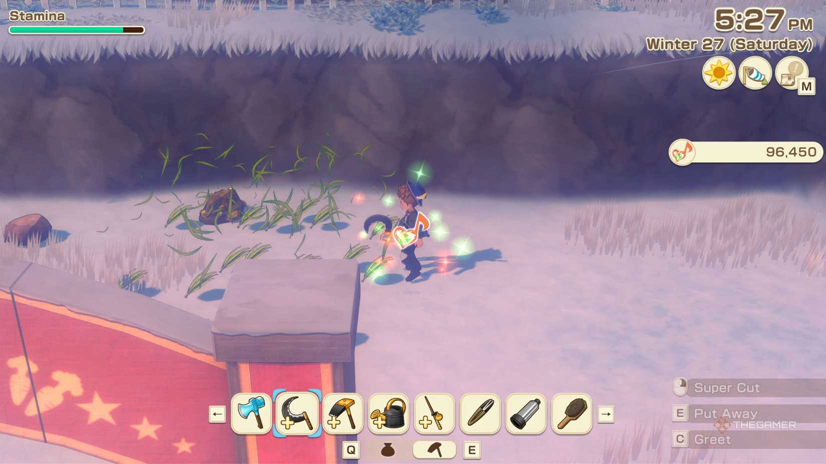 Story Of Seasons Grand Bazaar getting happy energy from foraging.