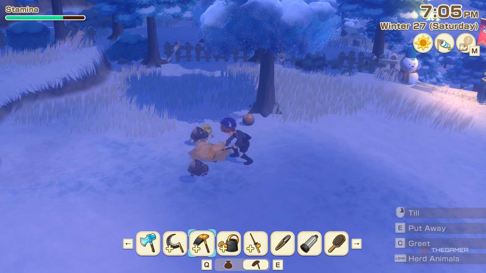 Story Of Seasons Grand Bazaar getting medal from the digging spot.