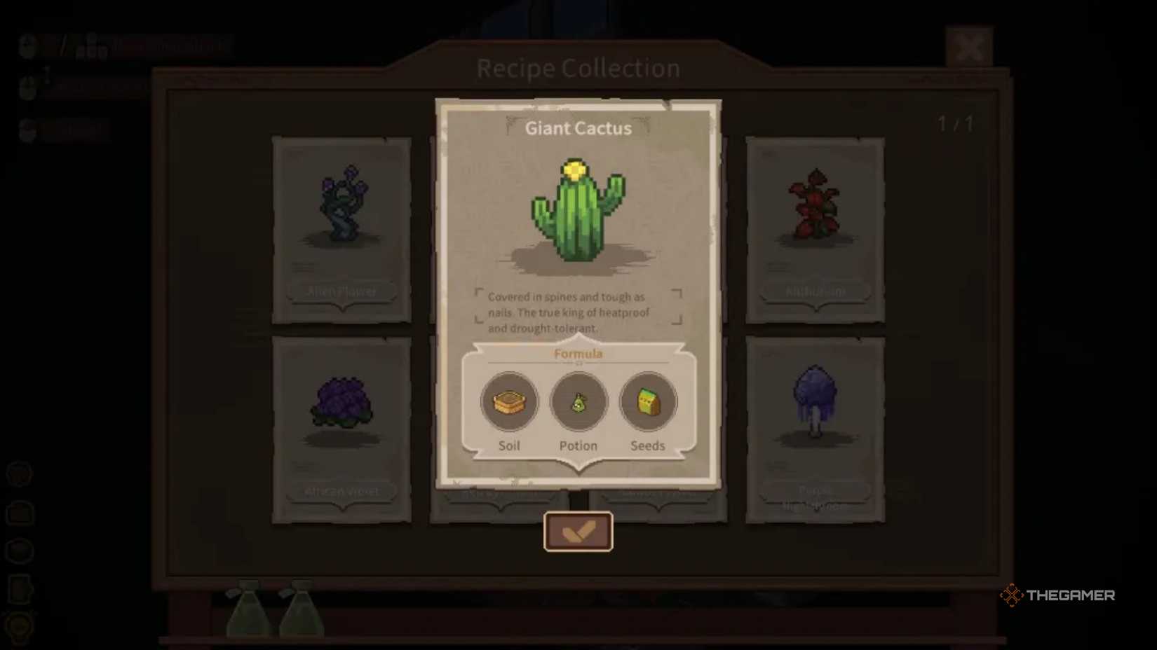 Whisper Of The House Giant Cactus.