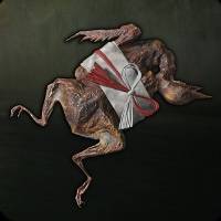 Dried Carcass in Silent Hill f.