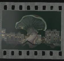Shroom or Doom ending icon in No I'm Not a Human.