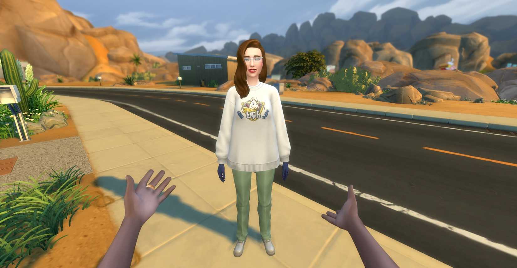 Image of a Sim speaking to another Sim in first person mode.