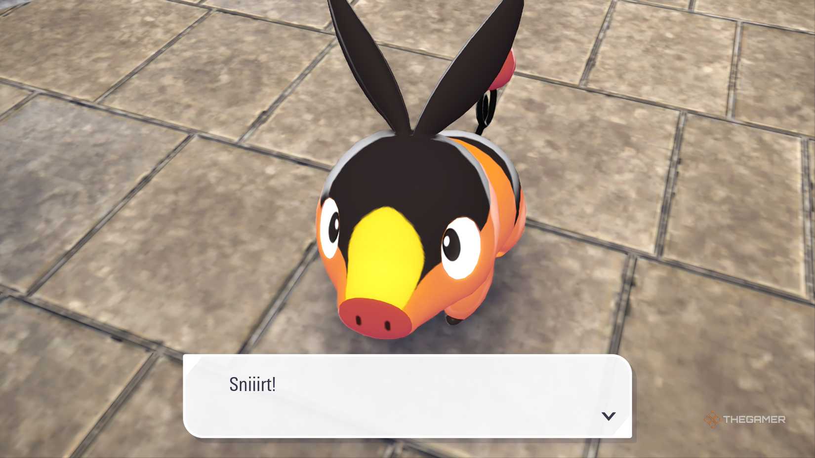 Tepig in Pokemon Legends Z-A.