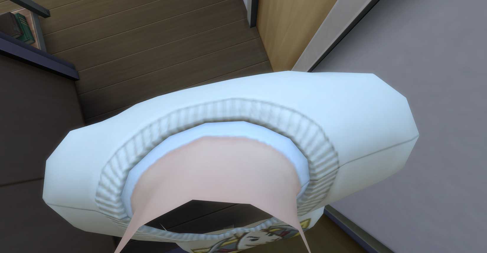A Sim missing textures when looking straight down on them in first person mode.