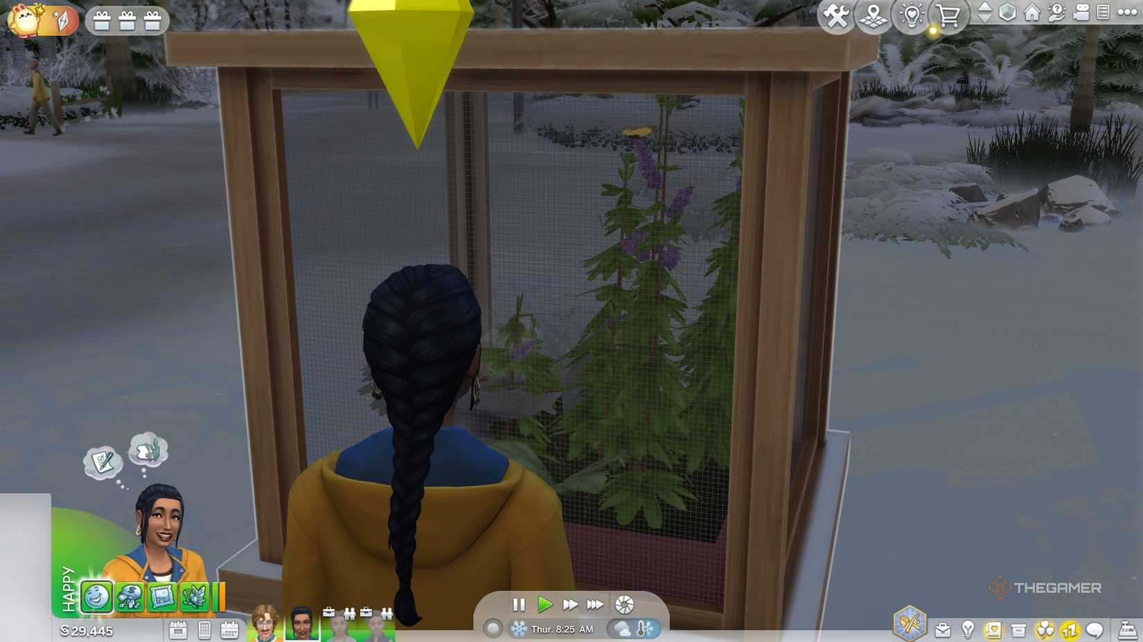 Viewing Butterflies in the Habitat in The Sims 4.
