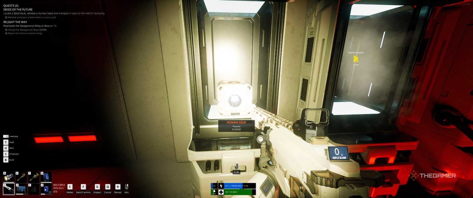 A human seed inside a pod in the seed vault of The Last Caretaker.