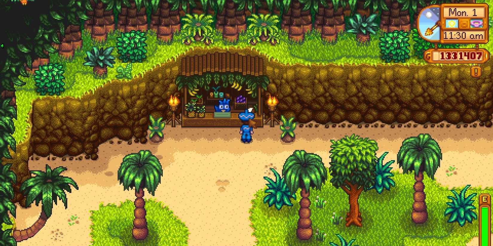 Stardew Valley Island Trader on Ginger Island