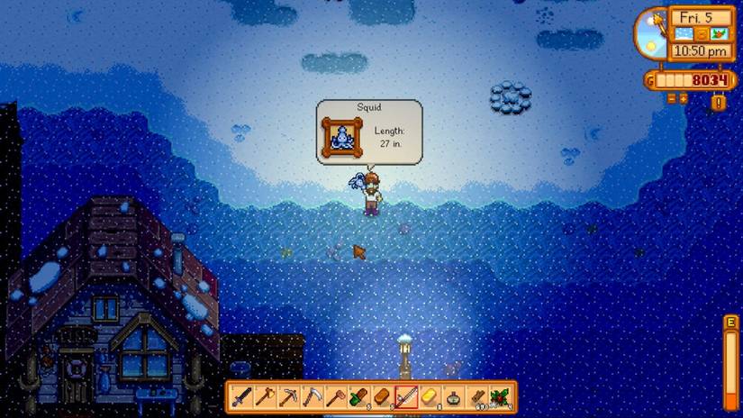 Stardew Valley Catching A Squid