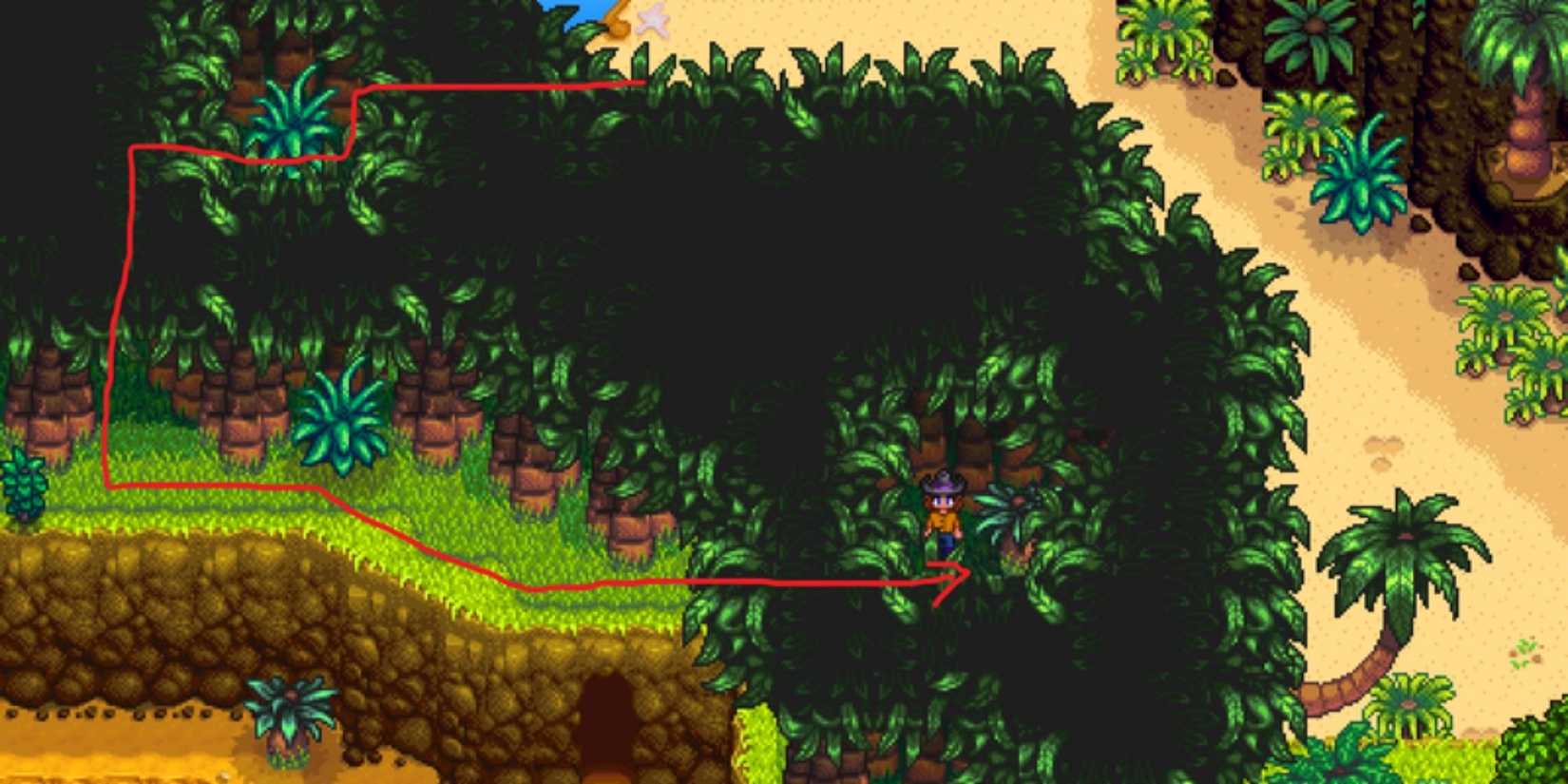 Stardew Valley Ginger Island North Golden Walnut Locations (1)