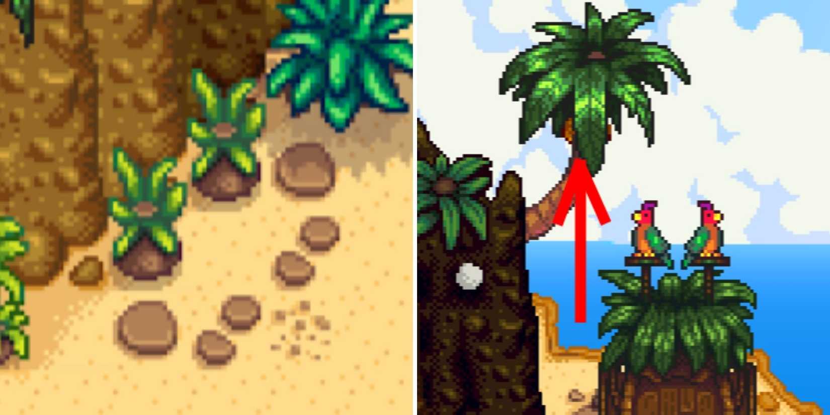 Stardew Valley Ginger Island North Golden Walnut Locations (2)
