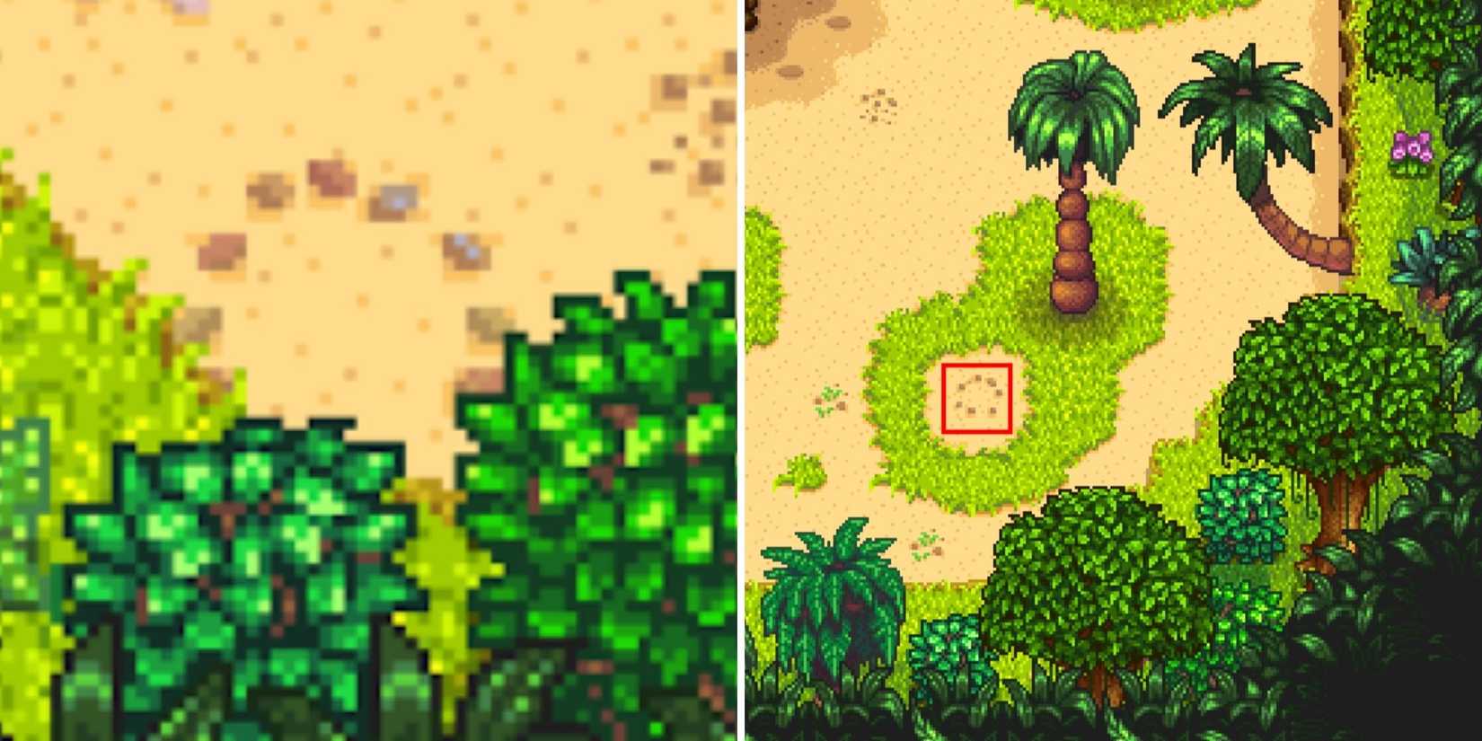 Stardew Valley Ginger Island North Golden Walnut Locations (3)