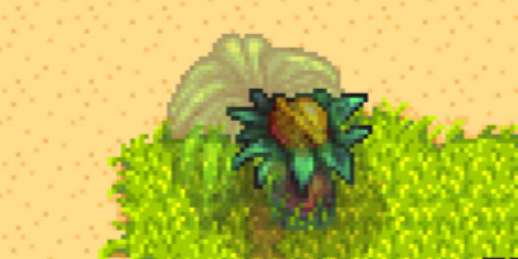 A close up of a Ginger Island Walnut. 