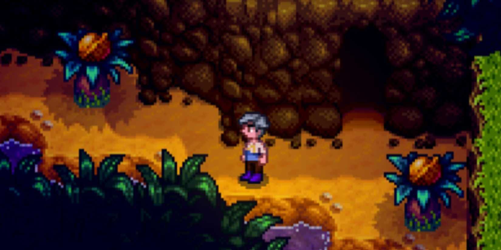 Stardew Valley Ginger Island North Golden Walnut Locations (9)