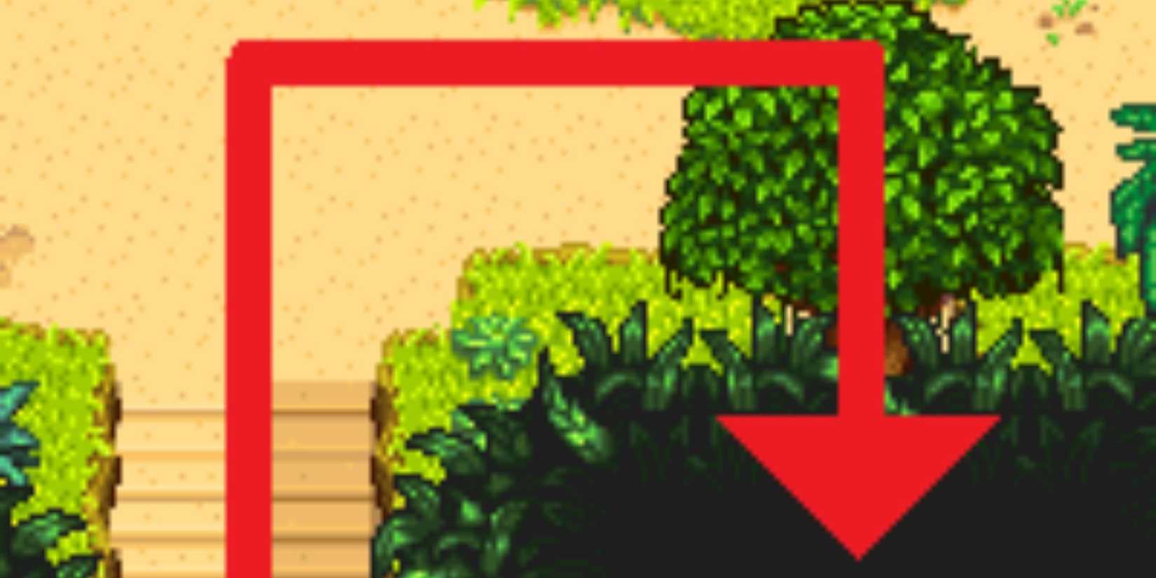 Stardew Valley Ginger Island South Golden Walnut Locations