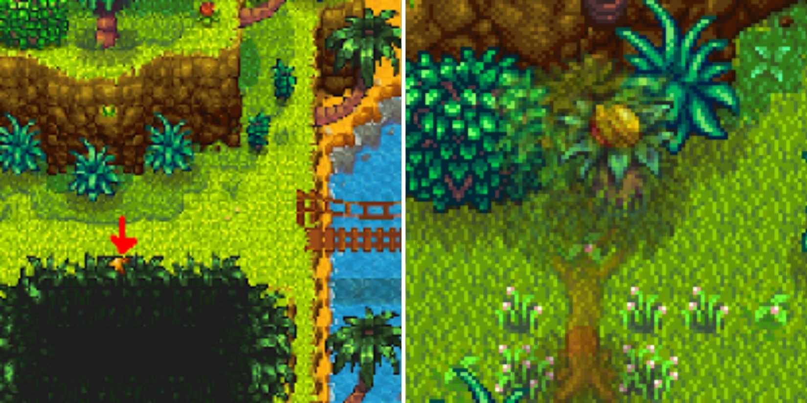 Stardew Valley Ginger Island West Golden Walnut Locations (2)