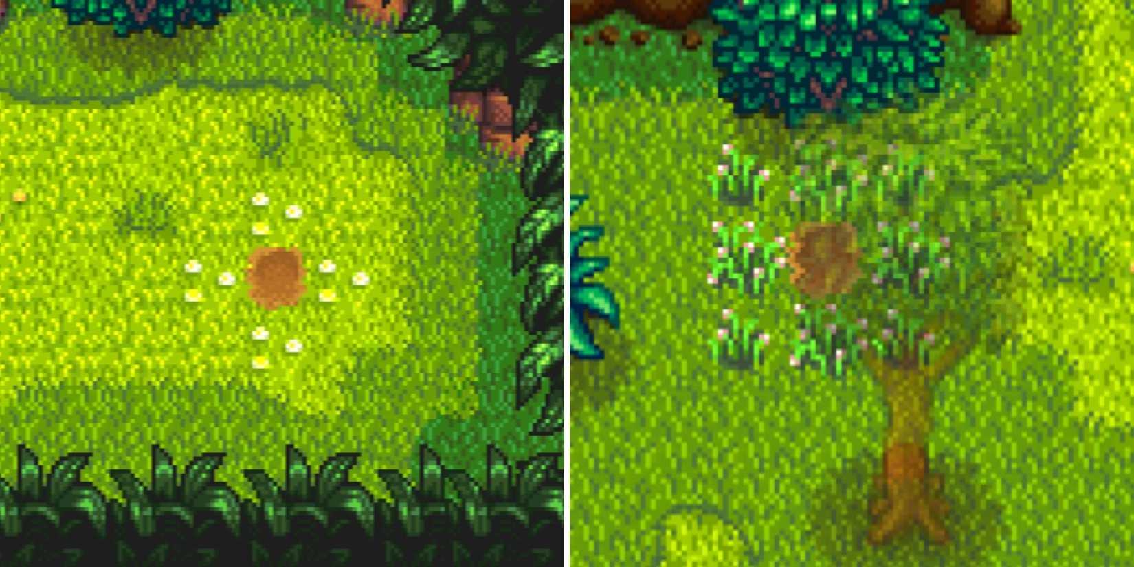 Stardew Valley Ginger Island West Golden Walnut Locations (6)