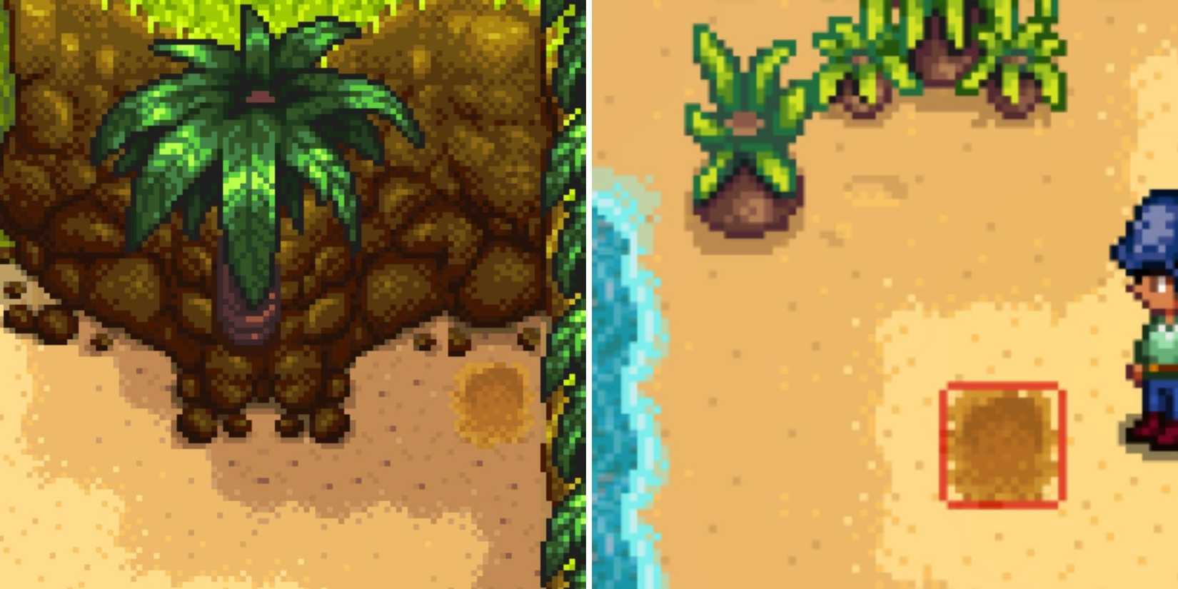 Stardew Valley Ginger Island West Golden Walnut Locations (7)