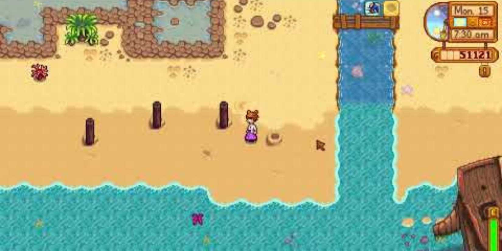 Stardew Valley Ginger Island Whack A Mole Golden Walnut Location