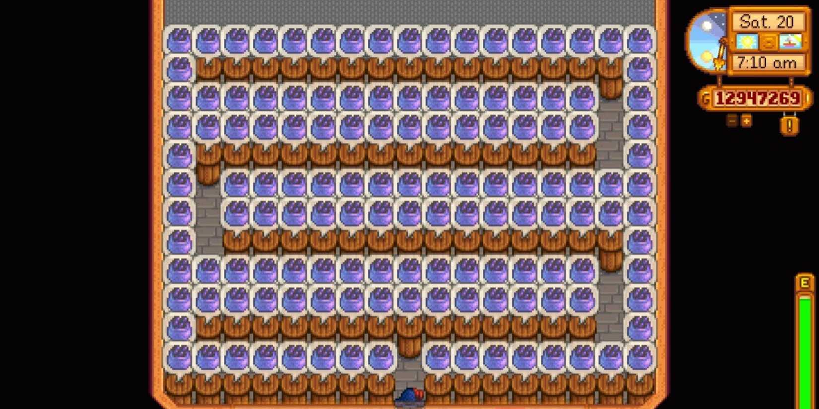 shed in stardew valley filled with caviar