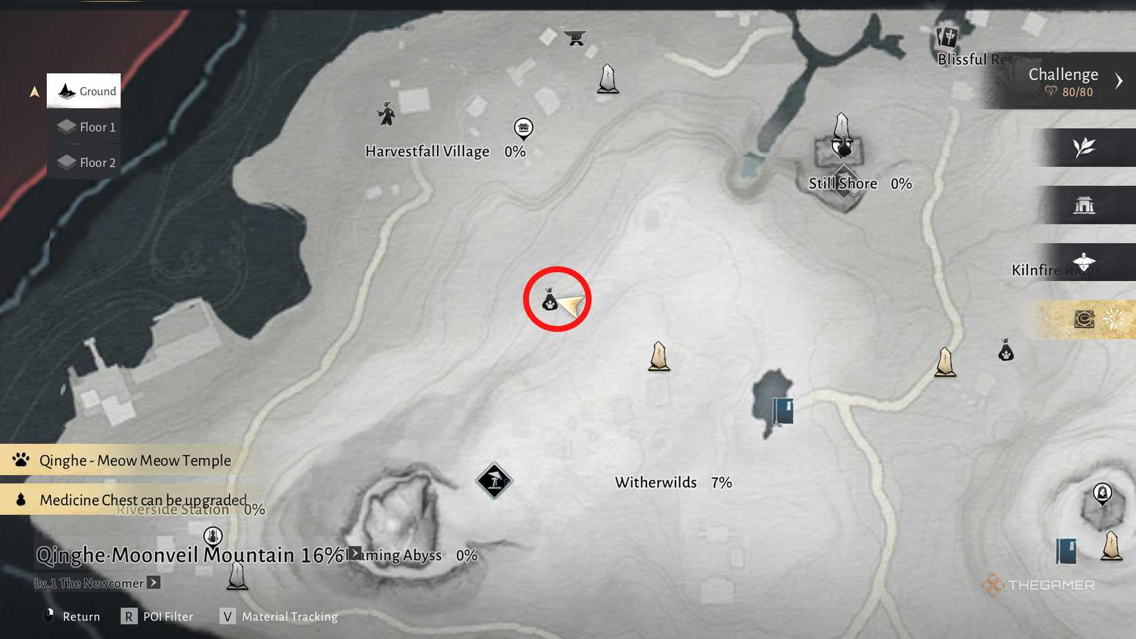 A cat chase task near witherwilds in Where Winds Meet.