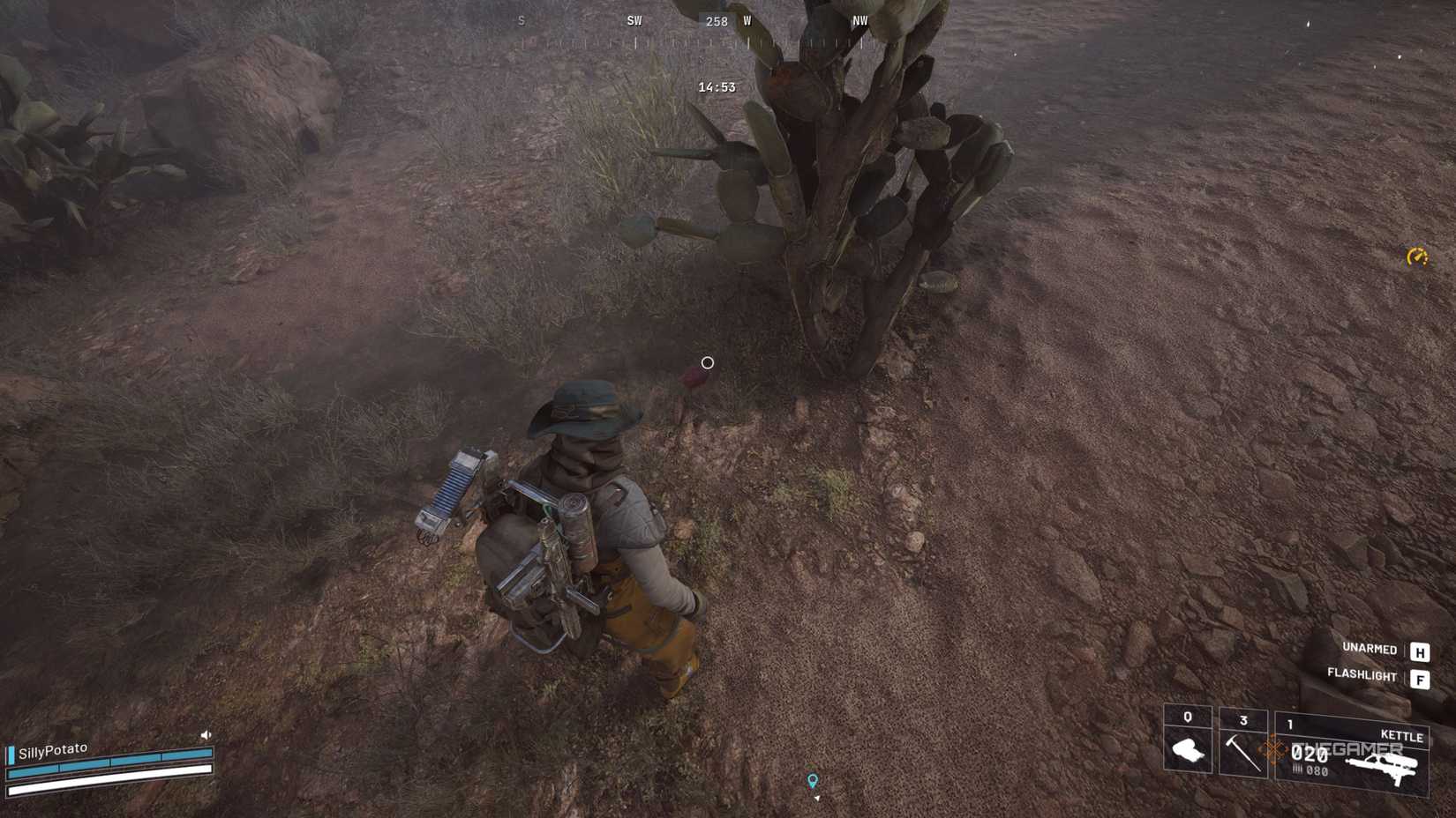 Arc Raiders Prickly Pear on the ground.