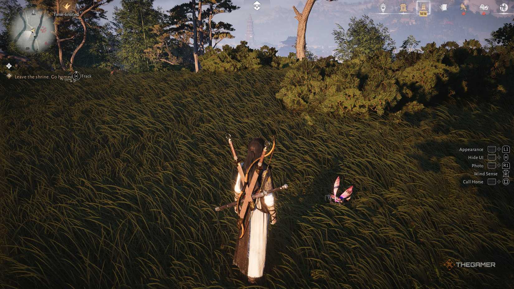 Catching an oddity in Where Winds Meet.