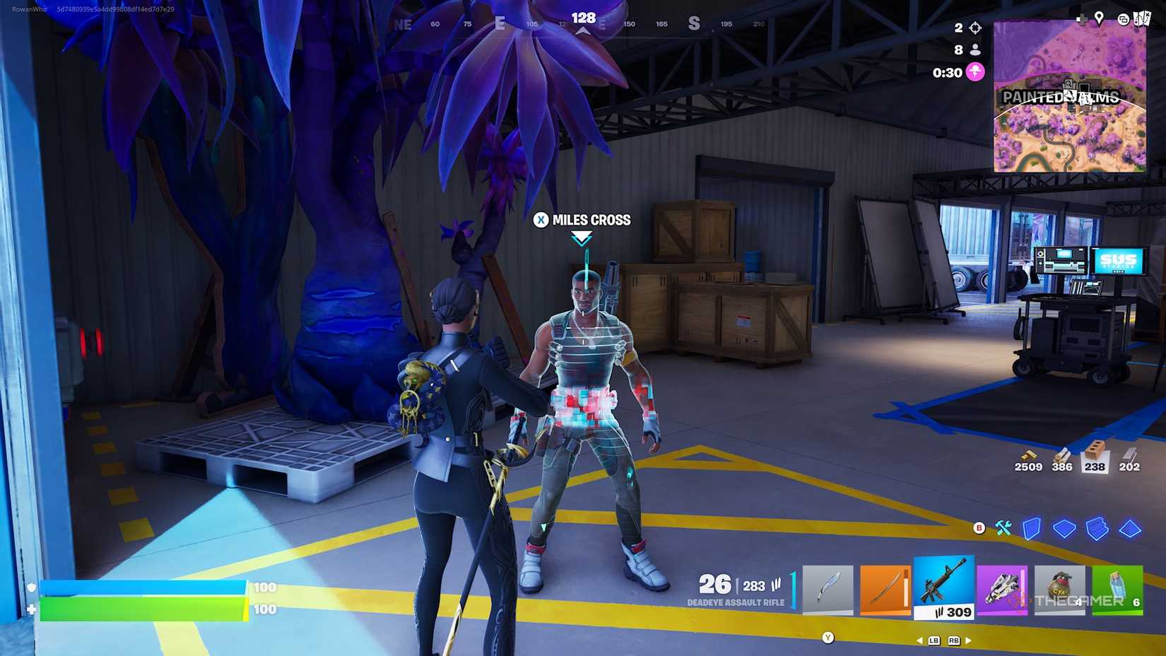 Fortnite Miles Cross.