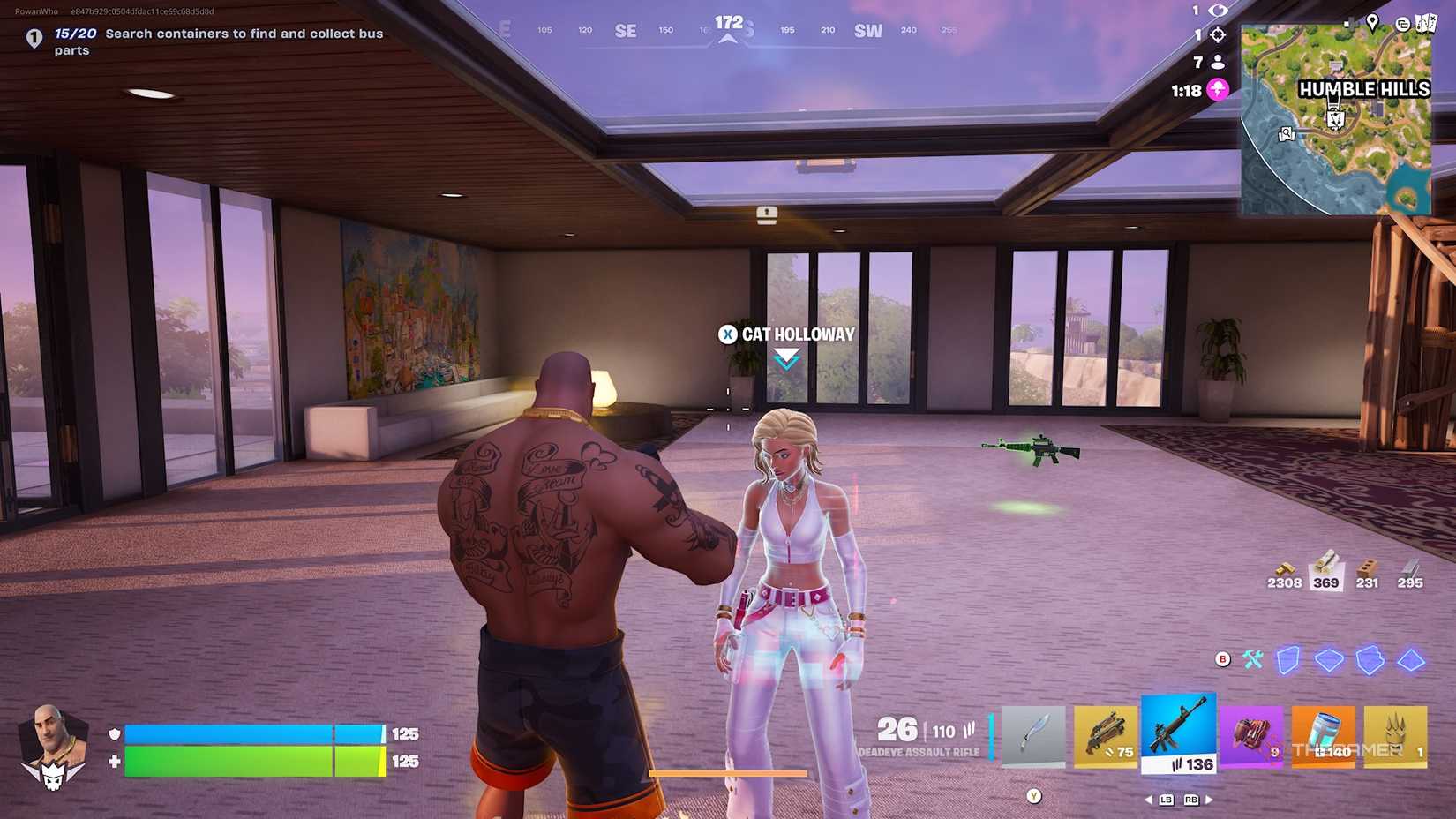 Fortnite Cat Holloway.