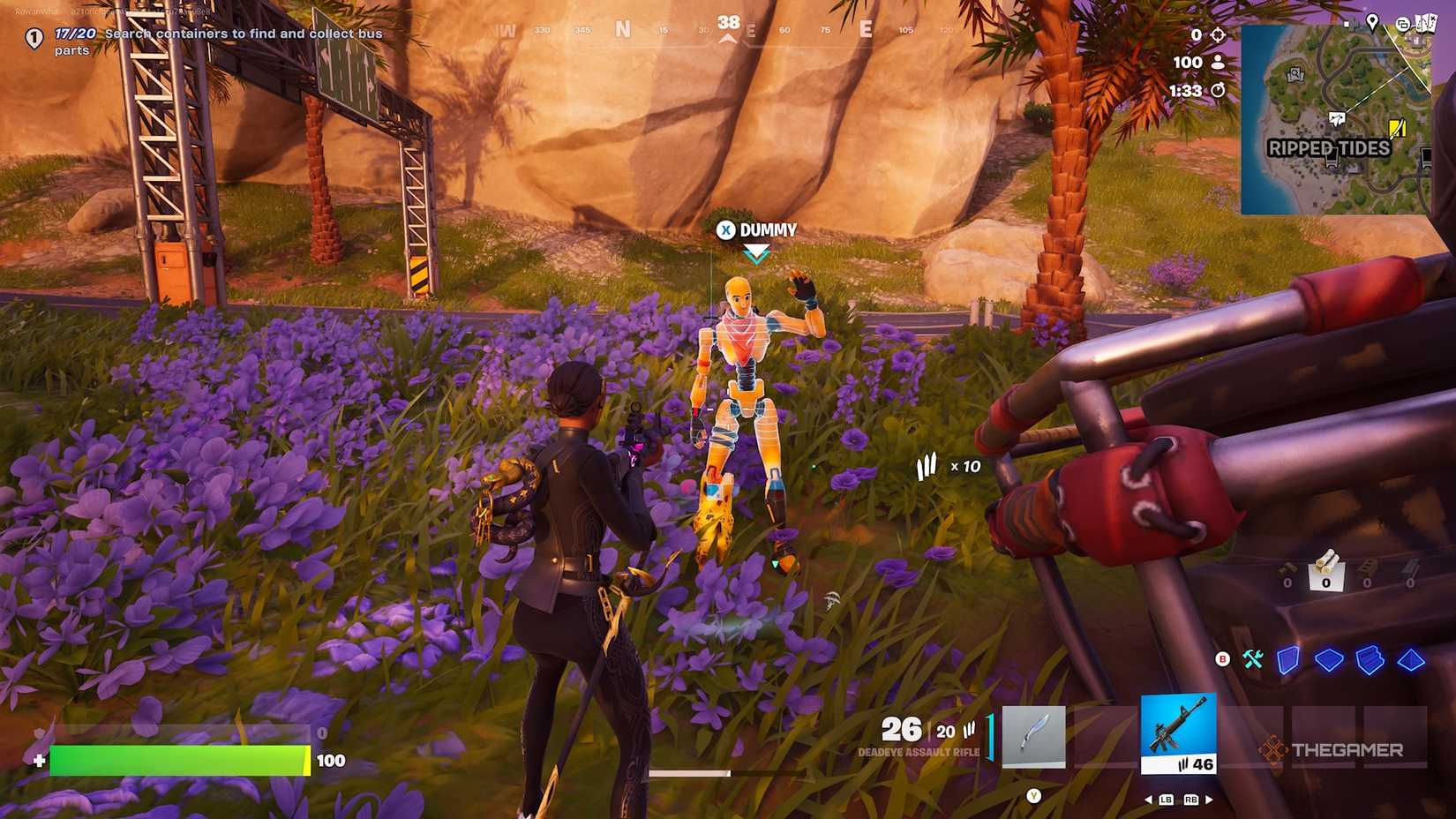 Fortnite Dummy.