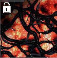 Infestation camo square.