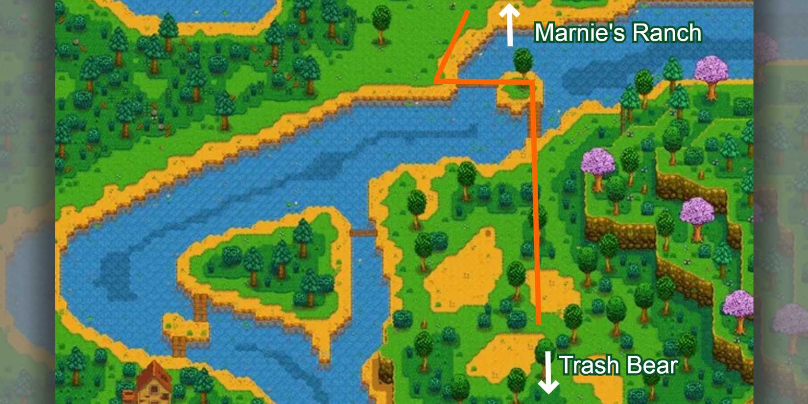 map of cindersap forest with trash bear route shown in Stardew Valley
