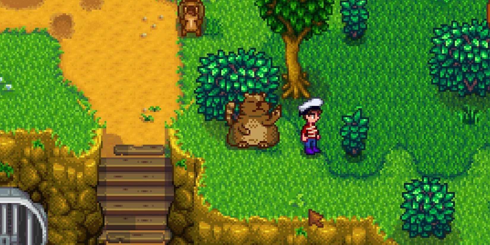 stardew valley player standing next to trash bear.
