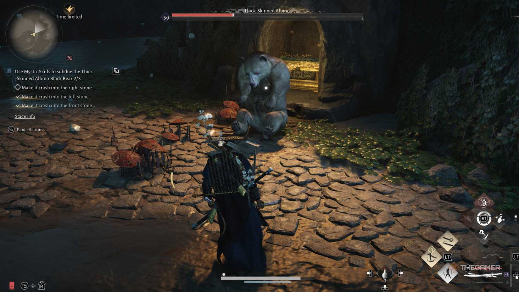 The albino bear sitting after being thrown with tai chi and a chest in the background in where winds meet.