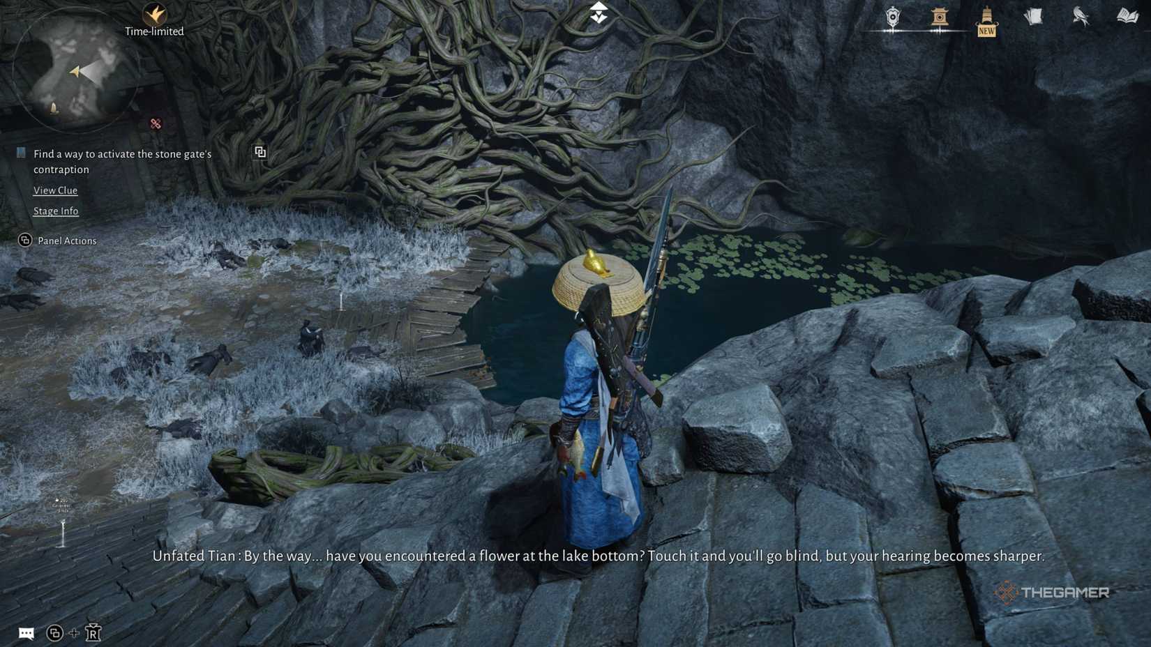 The player in the cave talking about the flowers of the cave in where winds meet.