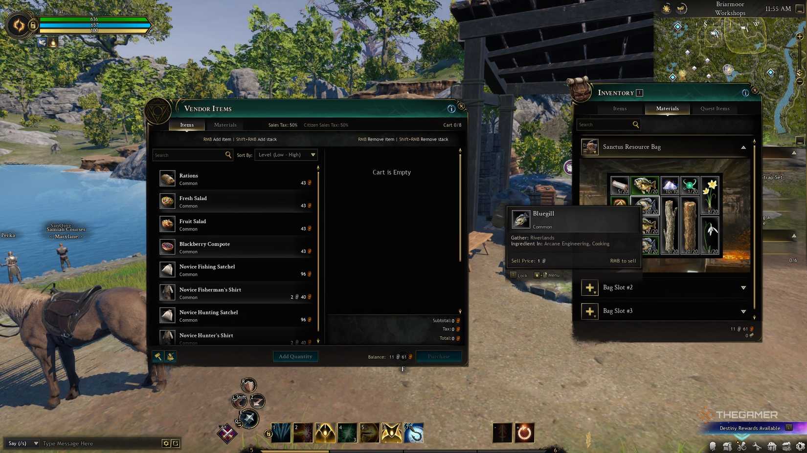 Ashes of Creation Selling fish.