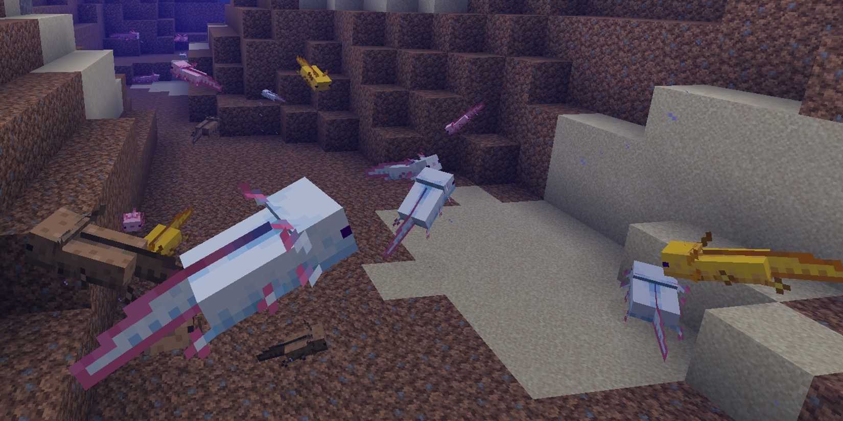Image of axolotls swimming around a river in Minecraft.