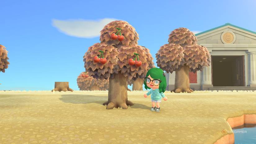 A player beside a cherry tree in Animal Crossing New Horizons.