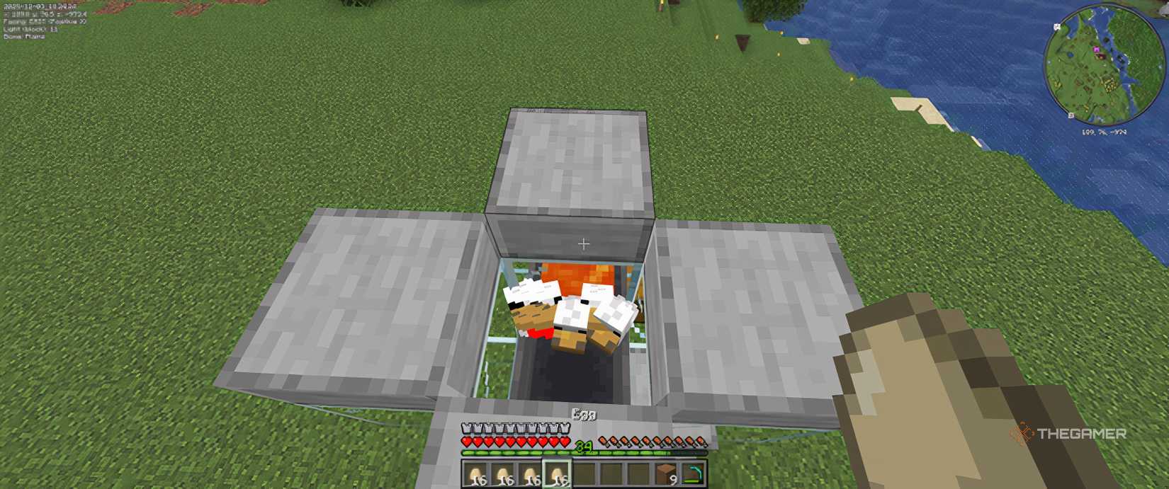 Adding chickens into the automatic chicken farm in minecraft.
