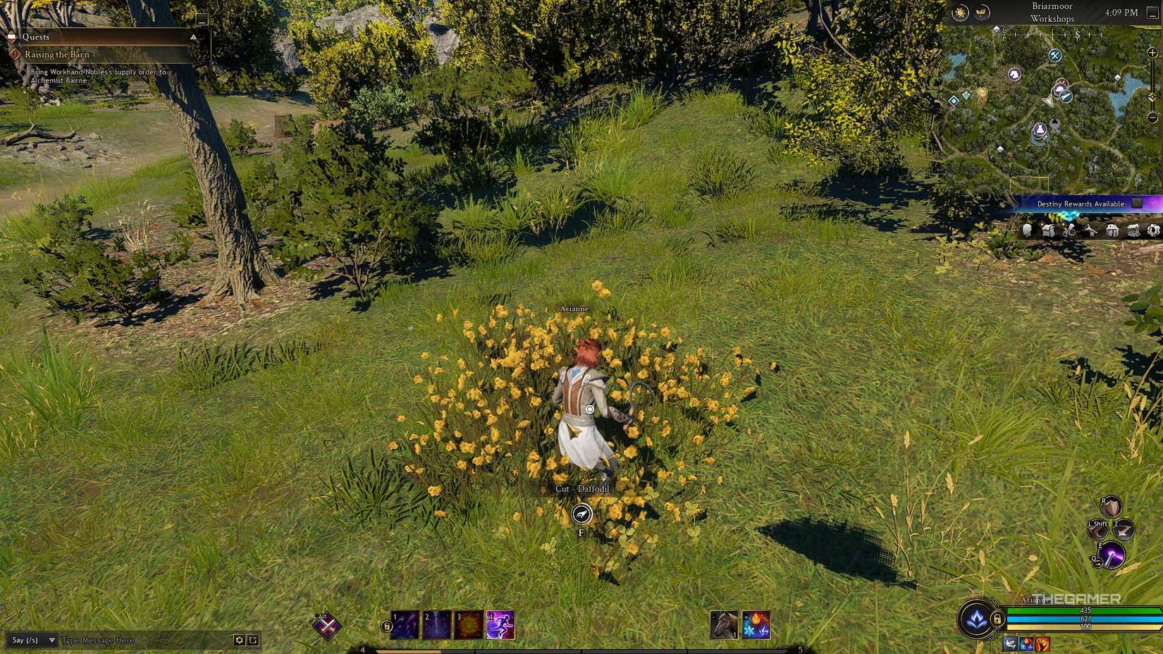 Ashes of Creation harvesting flowers in a field.