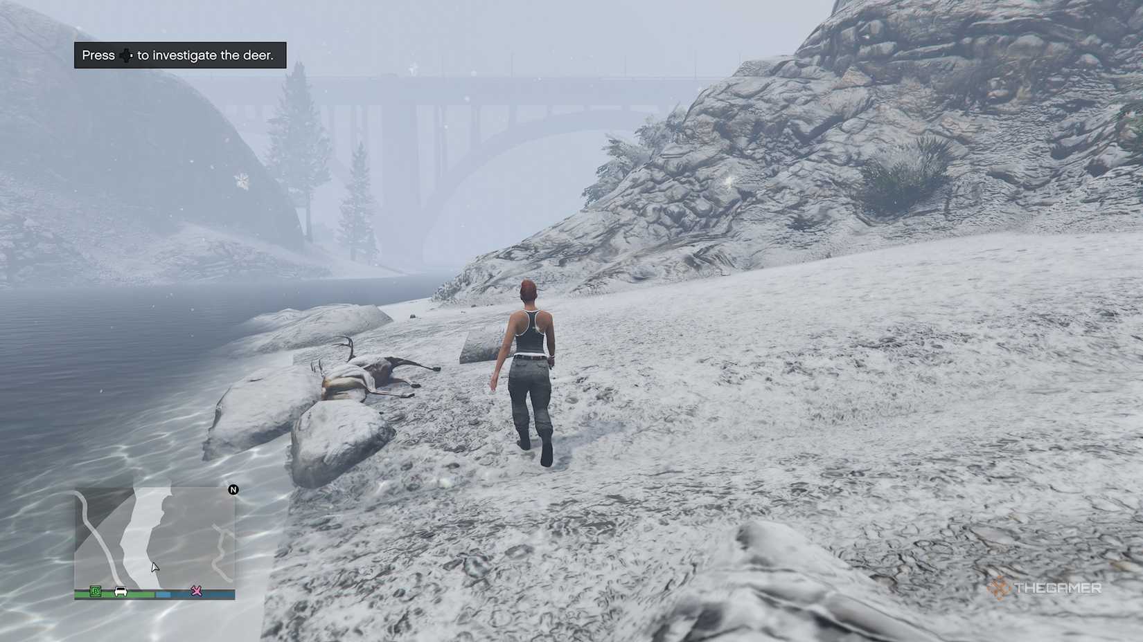 GTA Online deer carcass clue.