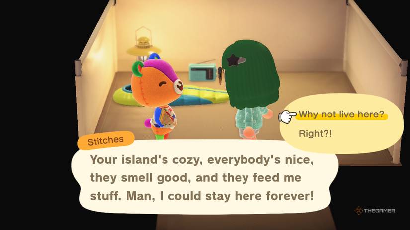 Inviting Stitches to move onto your island in Animal Crossing New Horizons.