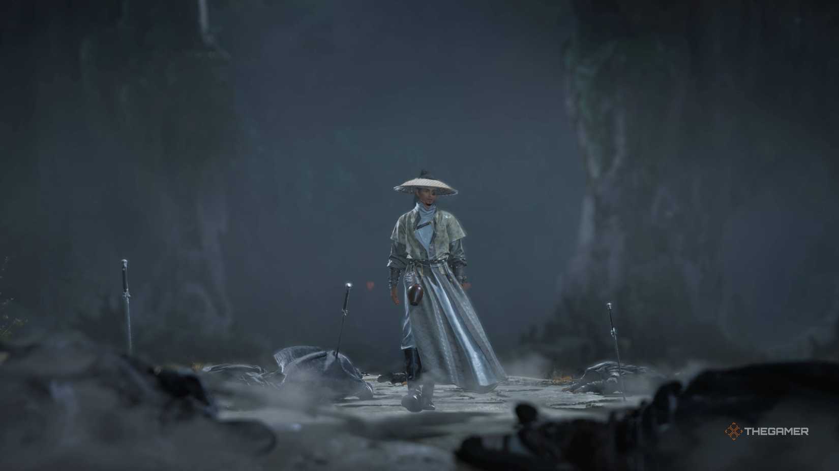 The player walking through a field of swords in where winds meet.