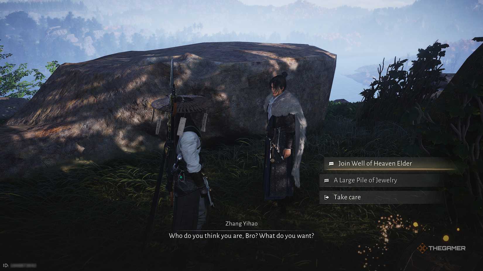 The player speaking to Zhang Yihao about joining the Well of Heaven in Where Winds Meet.