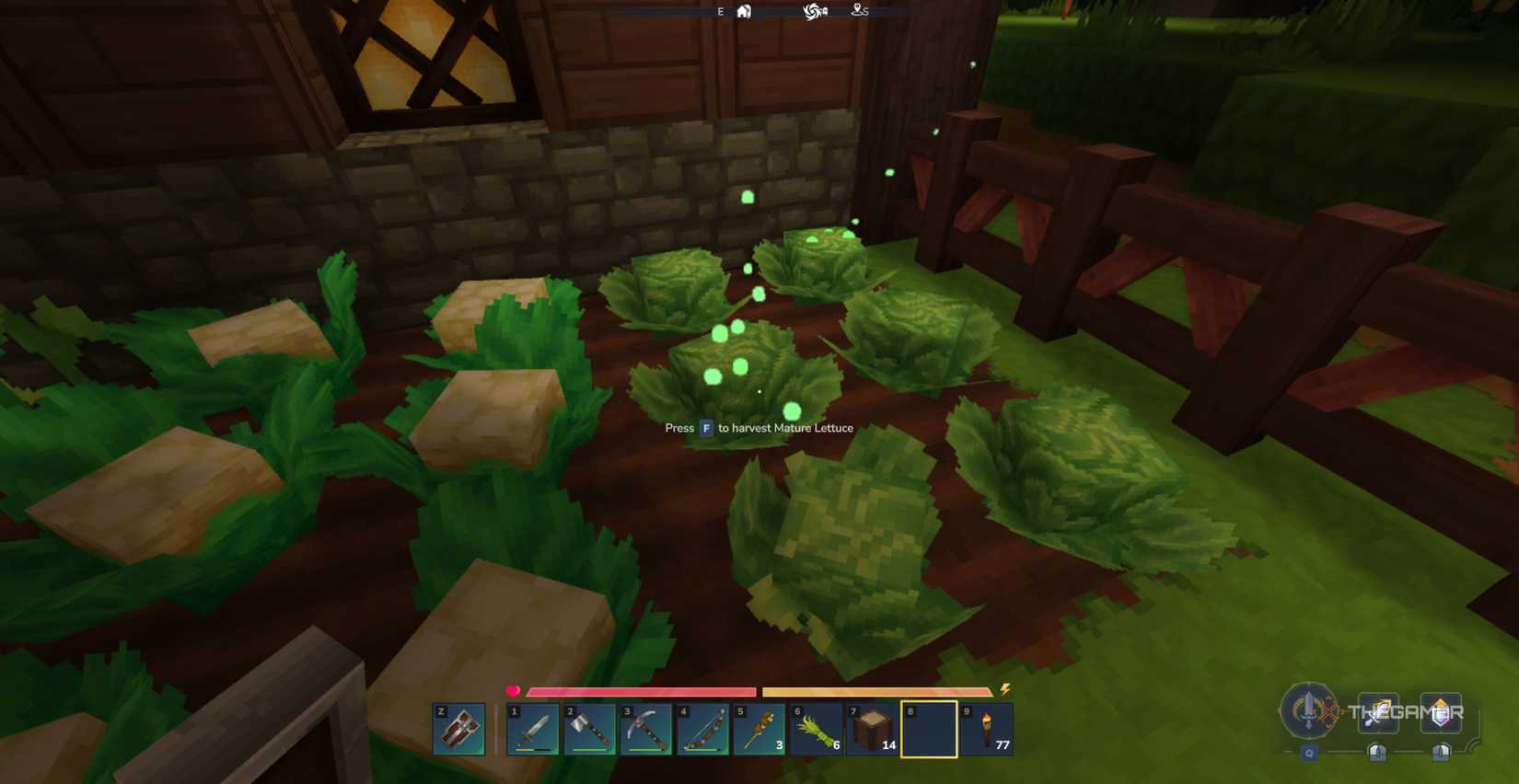 Player character in their garden about to harvest mature lettuce at night in Hytale.