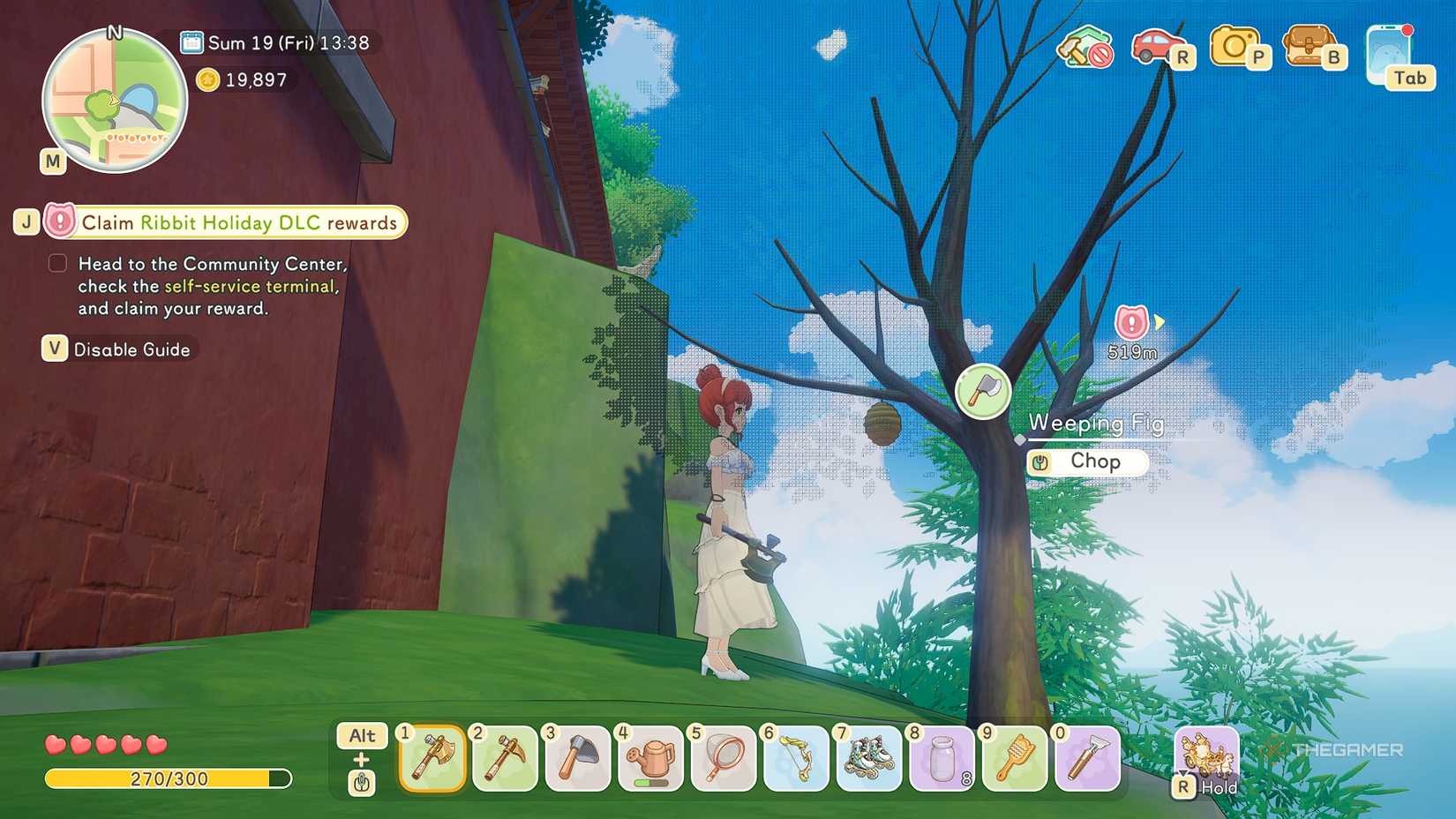 Starsand Island Пчелиное гнездо на дереве в северной части острова