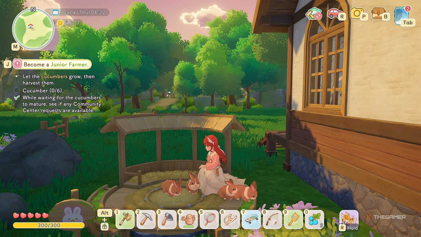 Starsand Island Sitting with a group of rabbits on the farm.