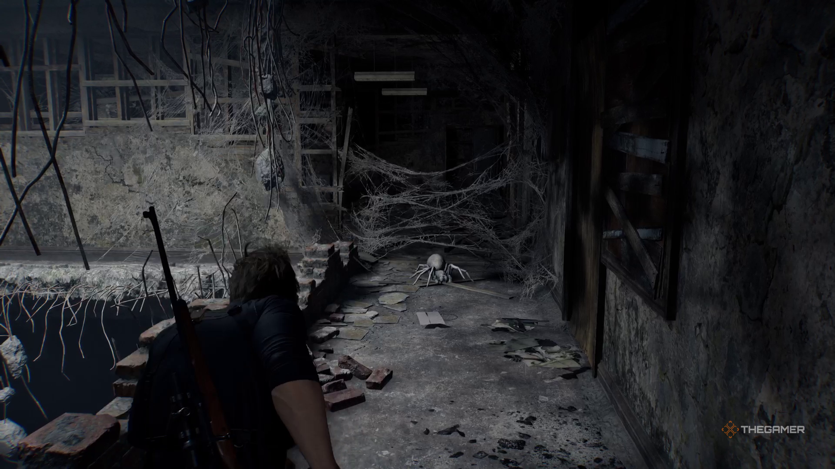 Леон приближается к маленькому белому пауку.