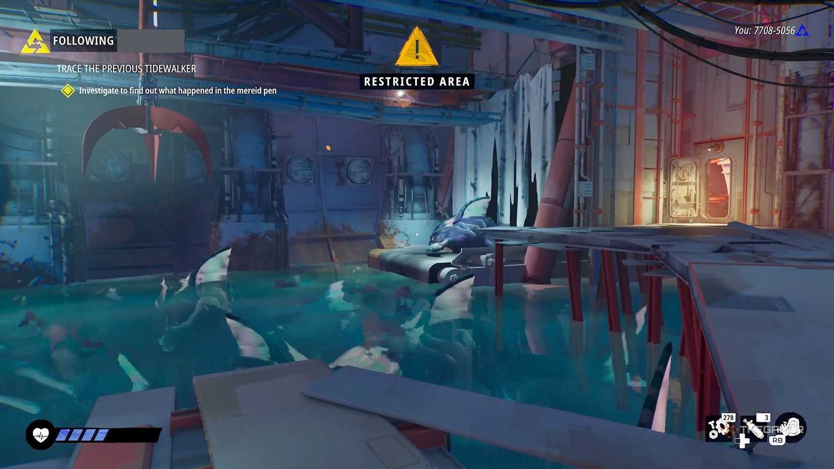 Игрок в загоне мерейдов